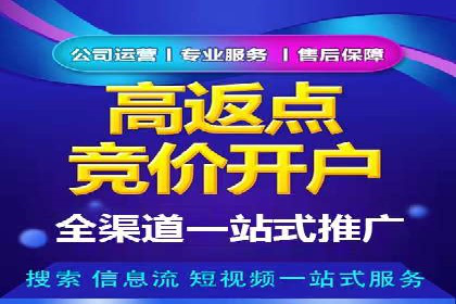 竞价排名策略案例：广告效果最大化技巧