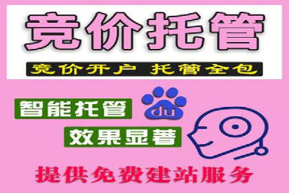 百度竞价包年推广：成功案例解析与效果评估